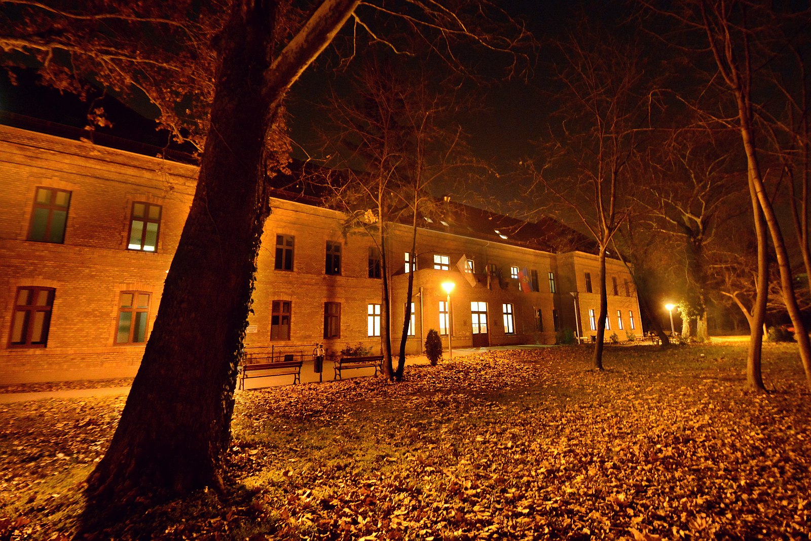 A Corvinuson a fehérvári felsőoktatásról